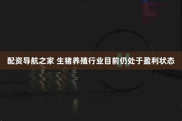 配资导航之家 生猪养殖行业目前仍处于盈利状态