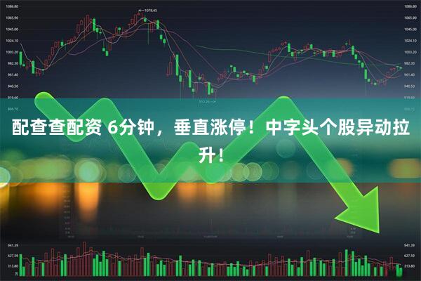配查查配资 6分钟，垂直涨停！中字头个股异动拉升！