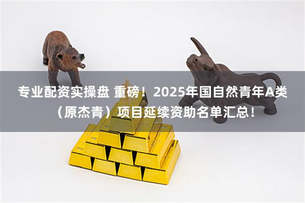 专业配资实操盘 重磅！2025年国自然青年A类（原杰青）项目延续资助名单汇总！